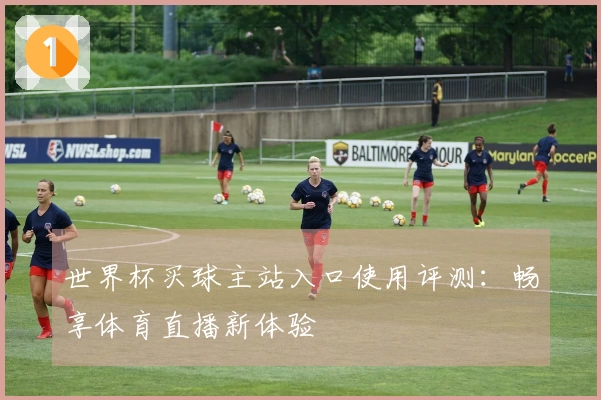 世界杯买球主站入口使用评测：畅享体育直播新体验