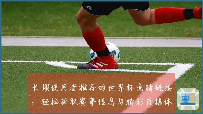 长期使用者推荐的世界杯竞猜链接，轻松获取赛事信息与精彩直播体验