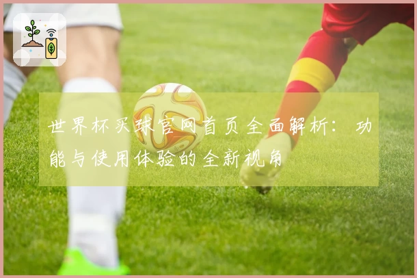 世界杯买球官网首页全面解析：功能与使用体验的全新视角