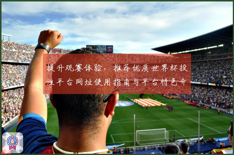 提升观赛体验，推荐优质世界杯投注平台网址使用指南与平台特色介绍
