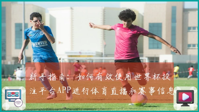 新手指南：如何有效使用世界杯投注平台APP进行体育直播和赛事信息获取