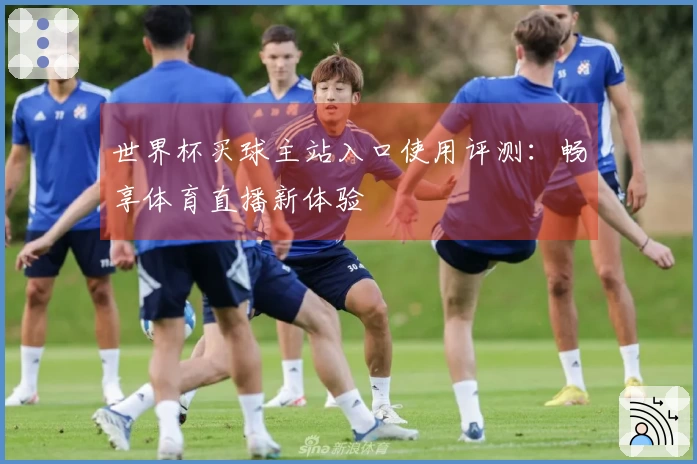 世界杯买球主站入口使用评测：畅享体育直播新体验