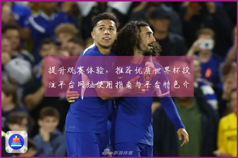 提升观赛体验，推荐优质世界杯投注平台网址使用指南与平台特色介绍